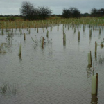 2002 December Water Meadow